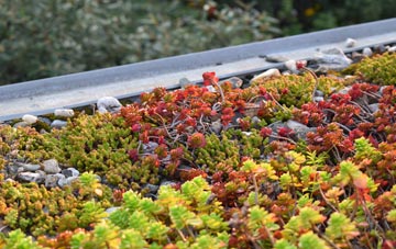 the cost of Aller Grove green roof installation