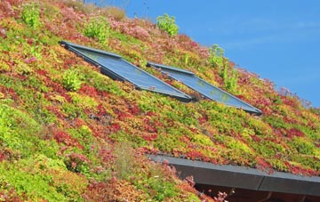 Aller Grove living roof systems